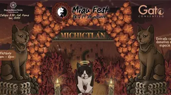 Mictlán en CDMX: así será el Miau Fest 2025, el festival para los amantes de los gatos
