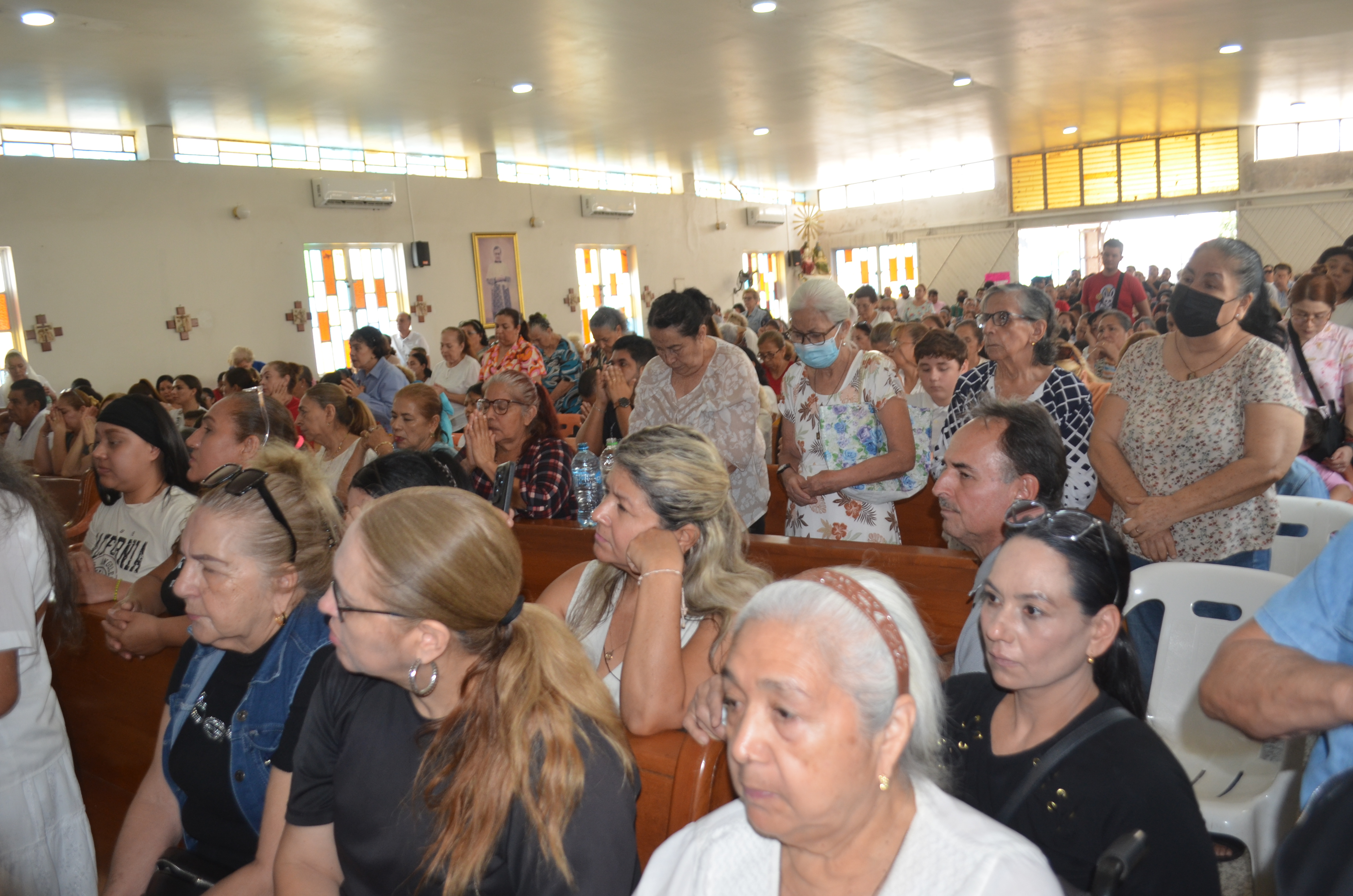 Imagen 6