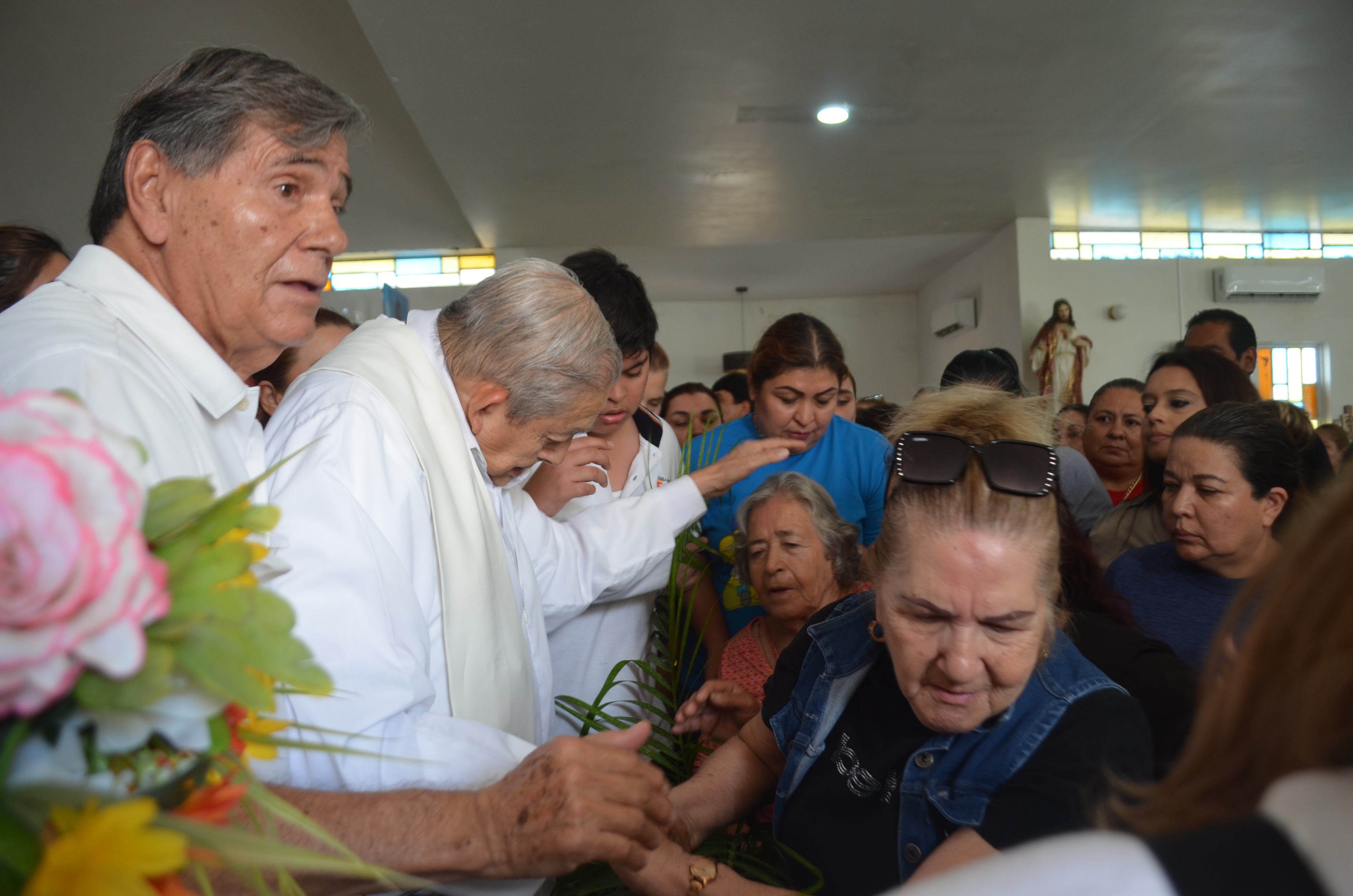 Imagen 5