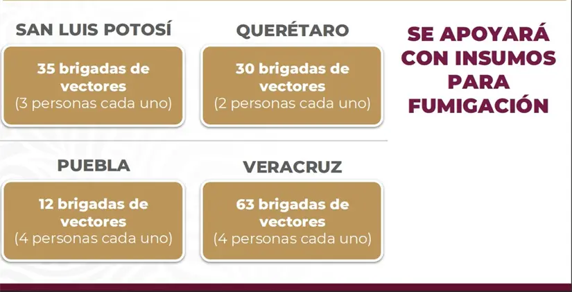 imagen recuadro