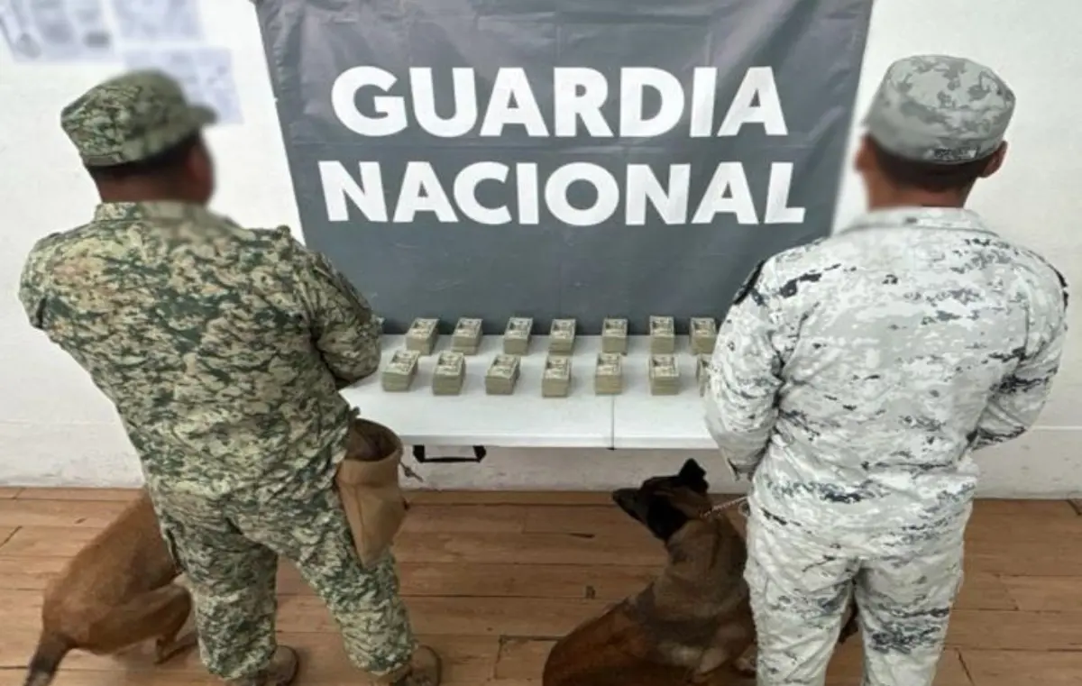 El dinero fue encontrado durante una inspección al azar en el aeropuerto de Tijuana. Foto: SSPC
