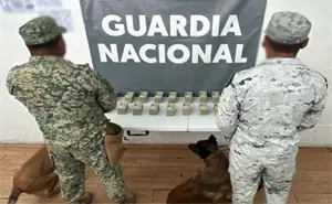 Detienen a un hombre con 200 mil dólares en aeropuerto de Baja California
