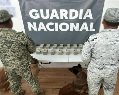 Detienen a un hombre con 200 mil dólares en aeropuerto de Baja California