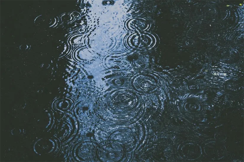 Estos serán los estados con lluvias fuertes durante la semana. Foto: Unsplash.