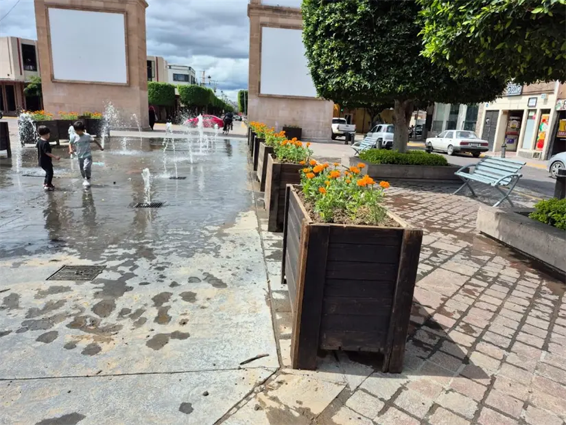 Flores de cempasúchil decoran León. Foto: Cortesía