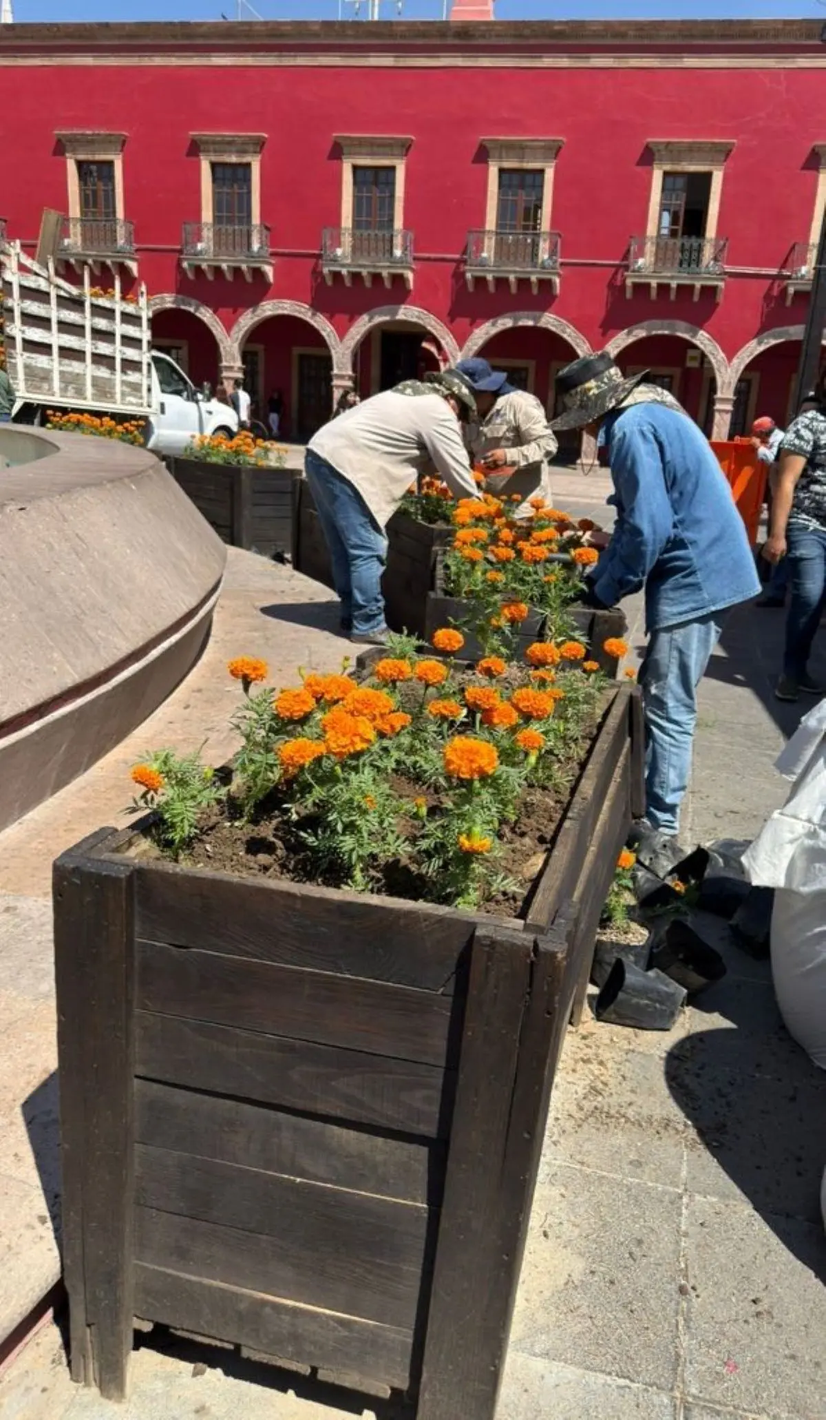 Flores de cempasúchil pintan de naranja León. Foto: Cortesía