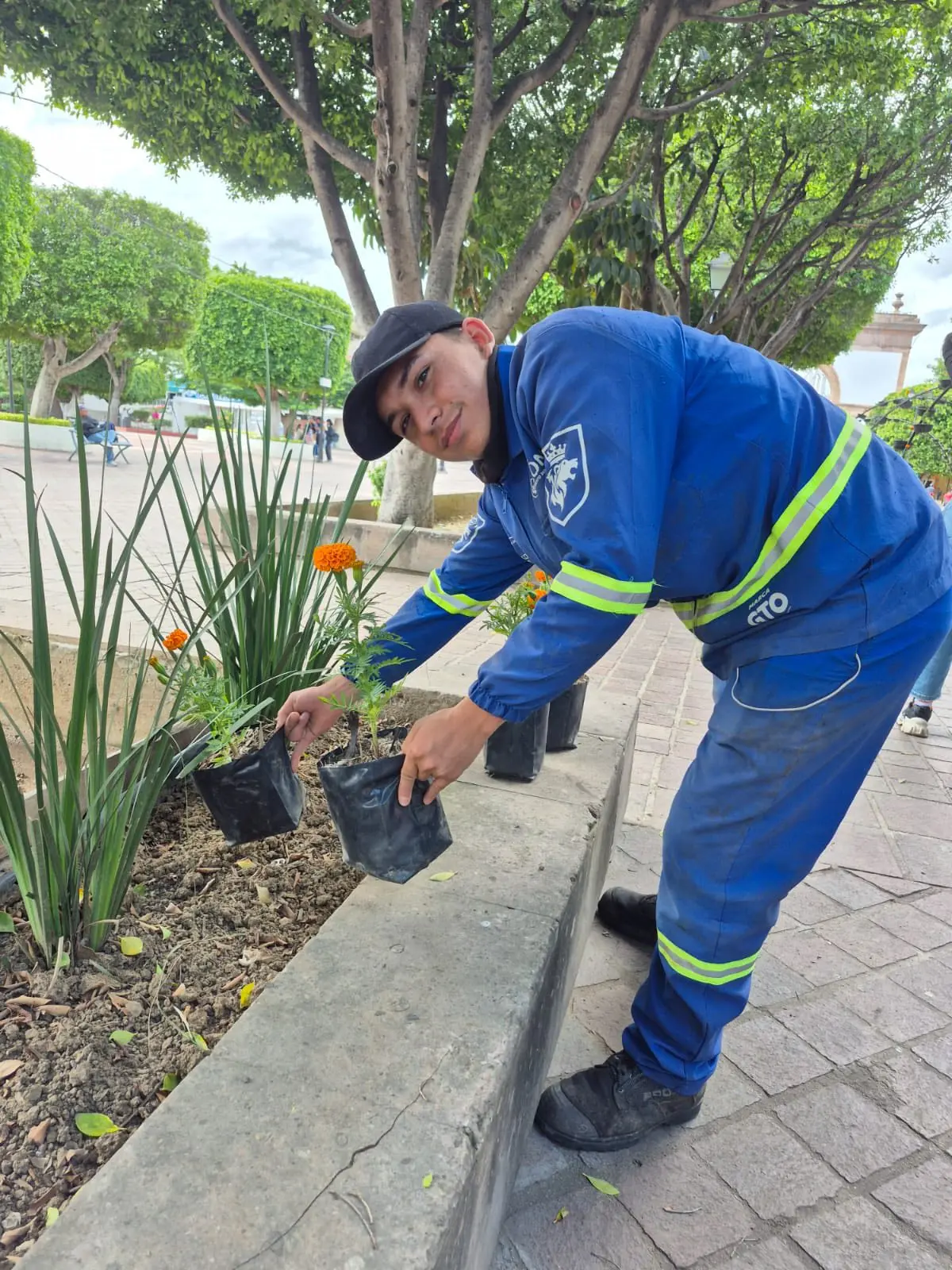Flores de cempasúchil son puestas en diferentes lugares León. Foto: Cortesía