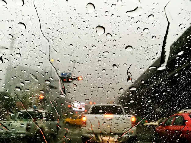 Conoce cuáles serán los estados afectados por las lluvias esta semana. Foto: Freepik.