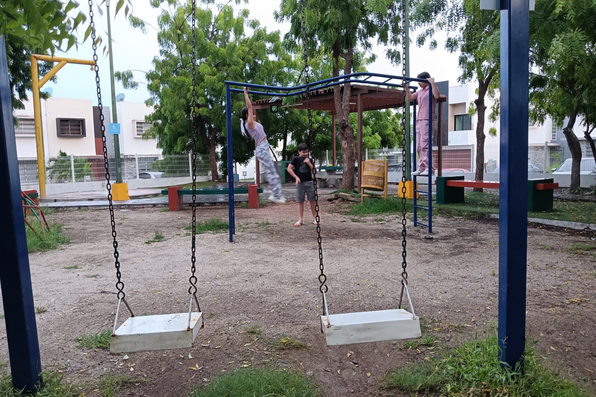 Imagen 5