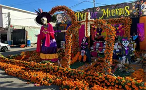 Presentan el Desfile de Día de Muertos 2025 en Tijuana, con nueva ruta; horario