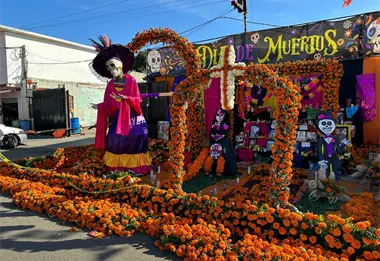 Presentan el Desfile de Día de Muertos 2025 en Tijuana, con nueva ruta; horario