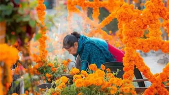 Amealco celebra el Día de Muertos con su tradicional Fiesta de Flores