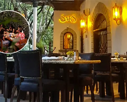 ¿Cuáles son los mejores restaurantes de Tlalpan?