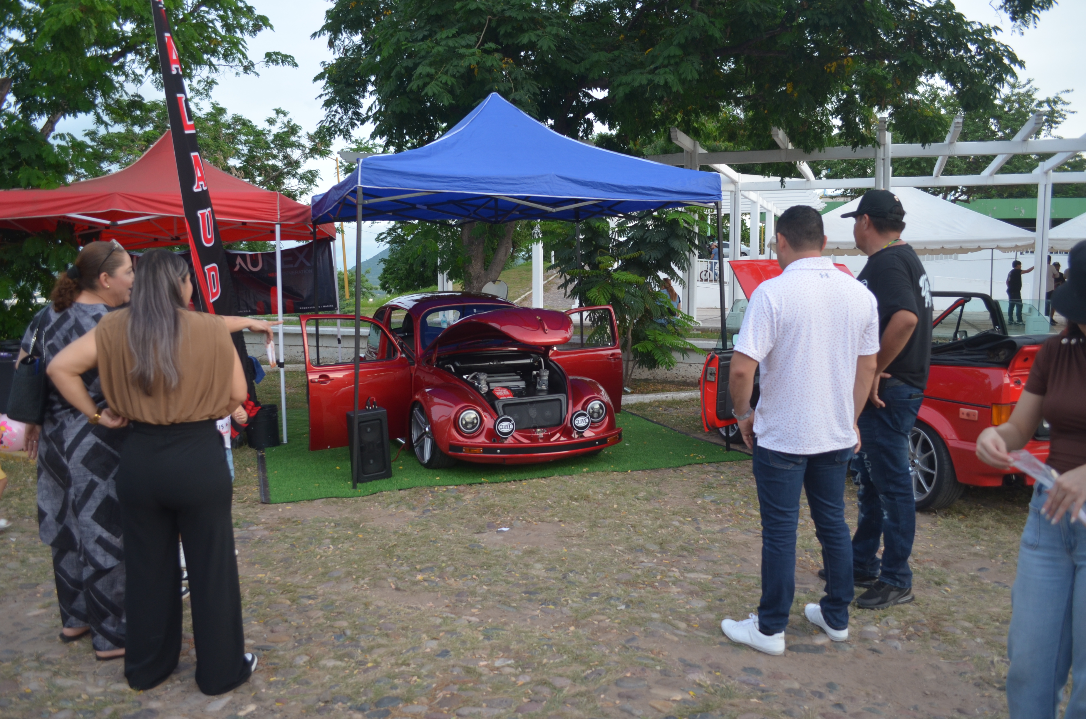 Imagen 7