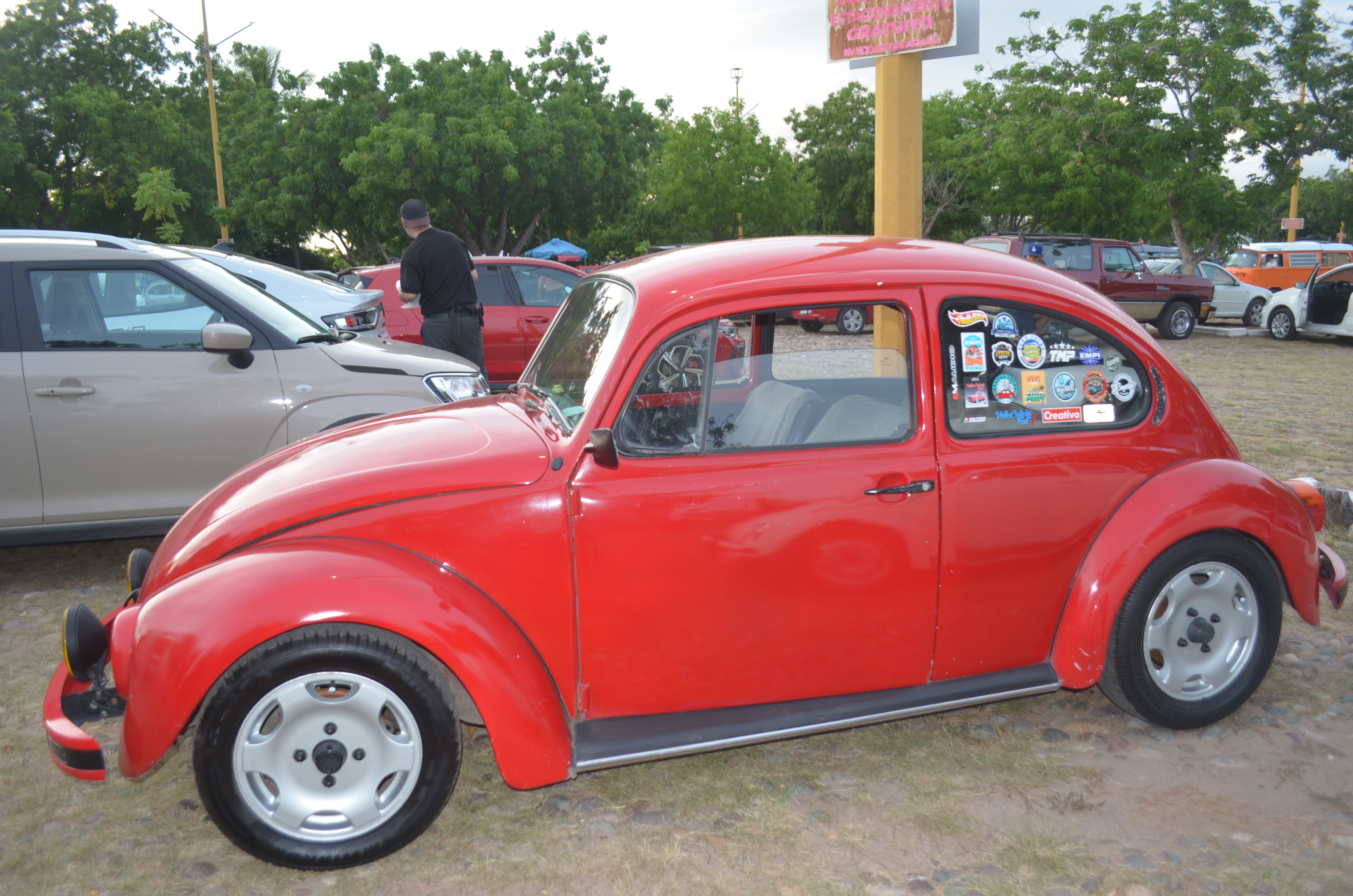 Imagen 8