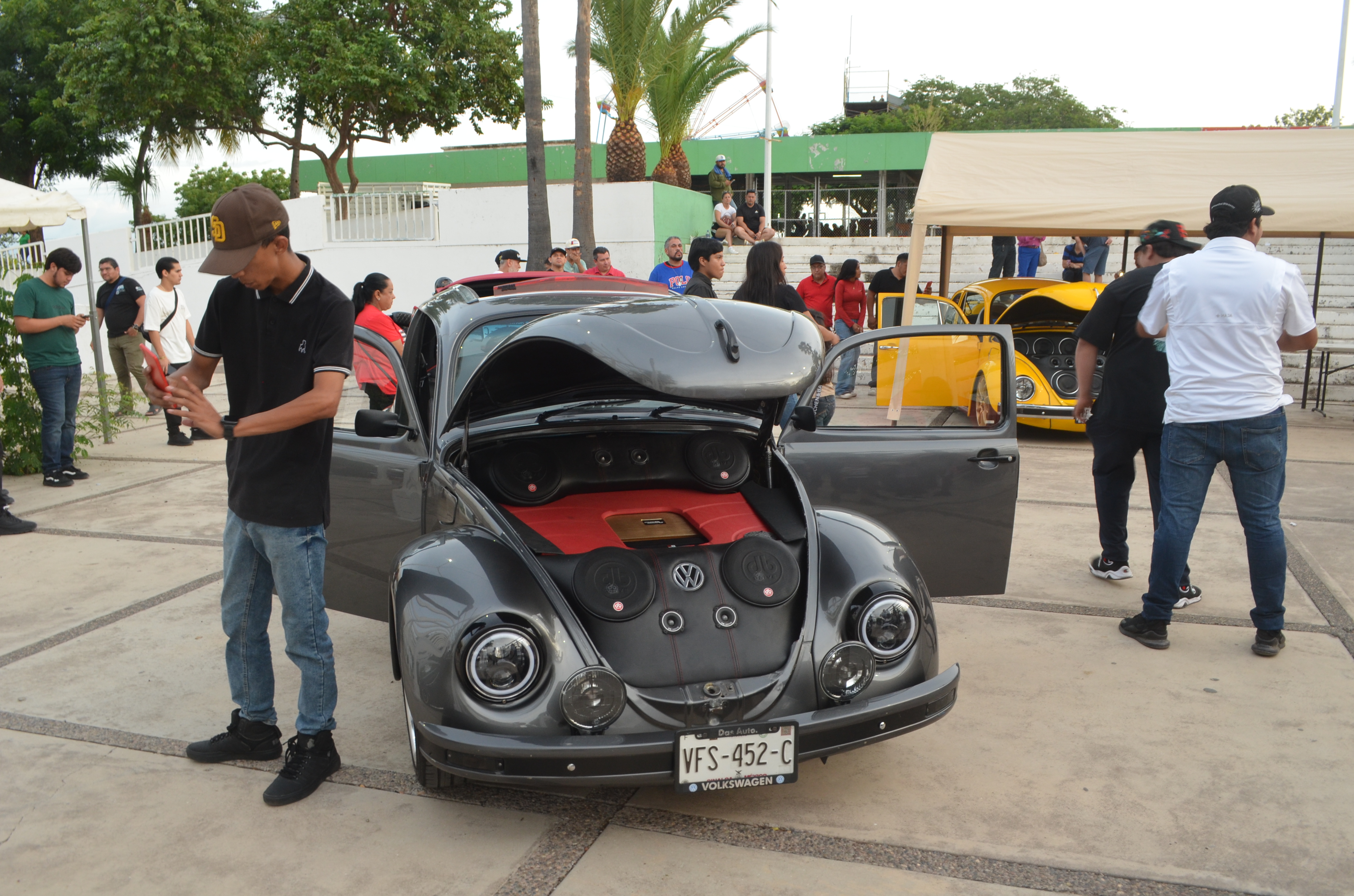 Imagen 15