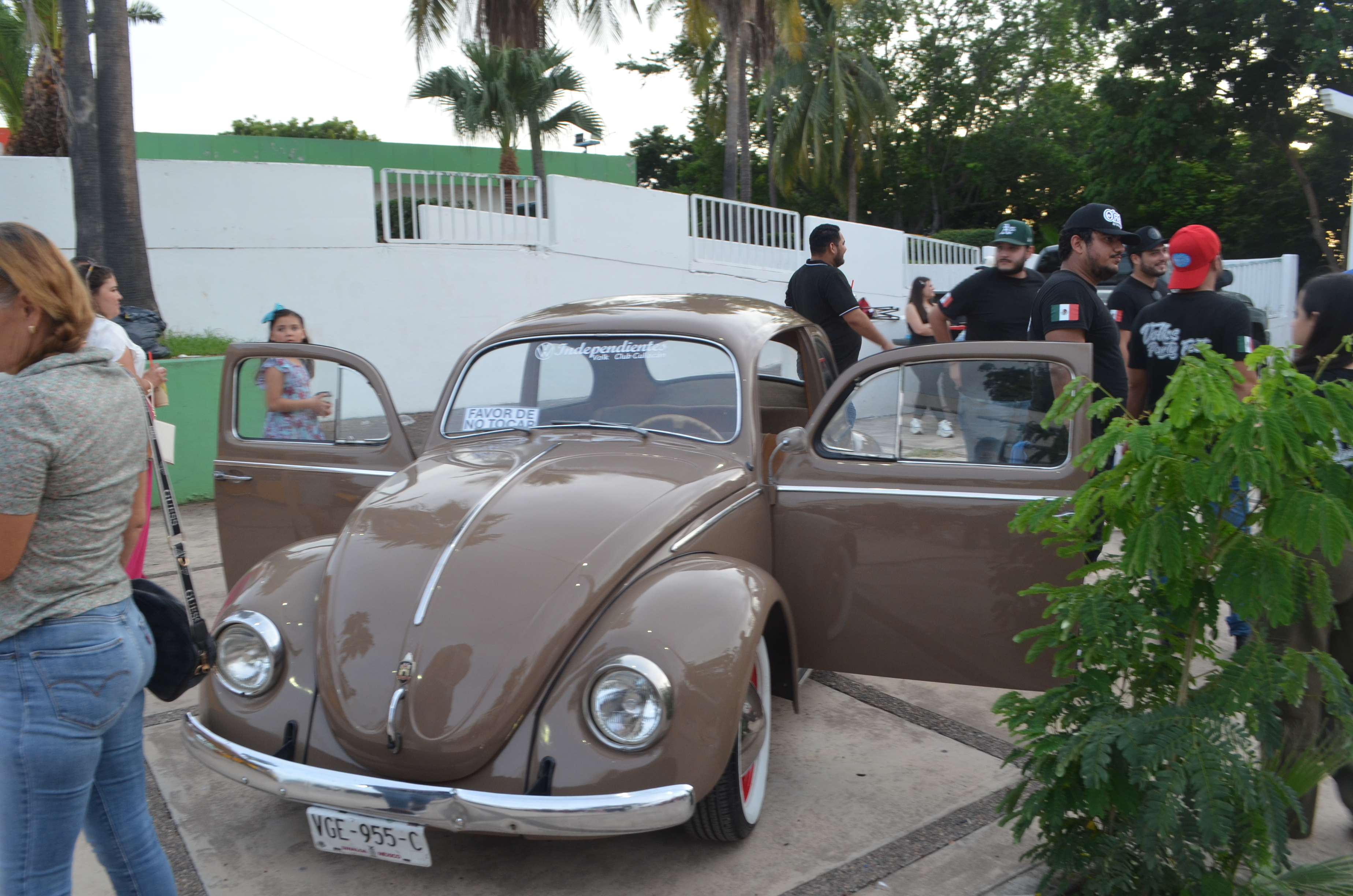 Imagen 10