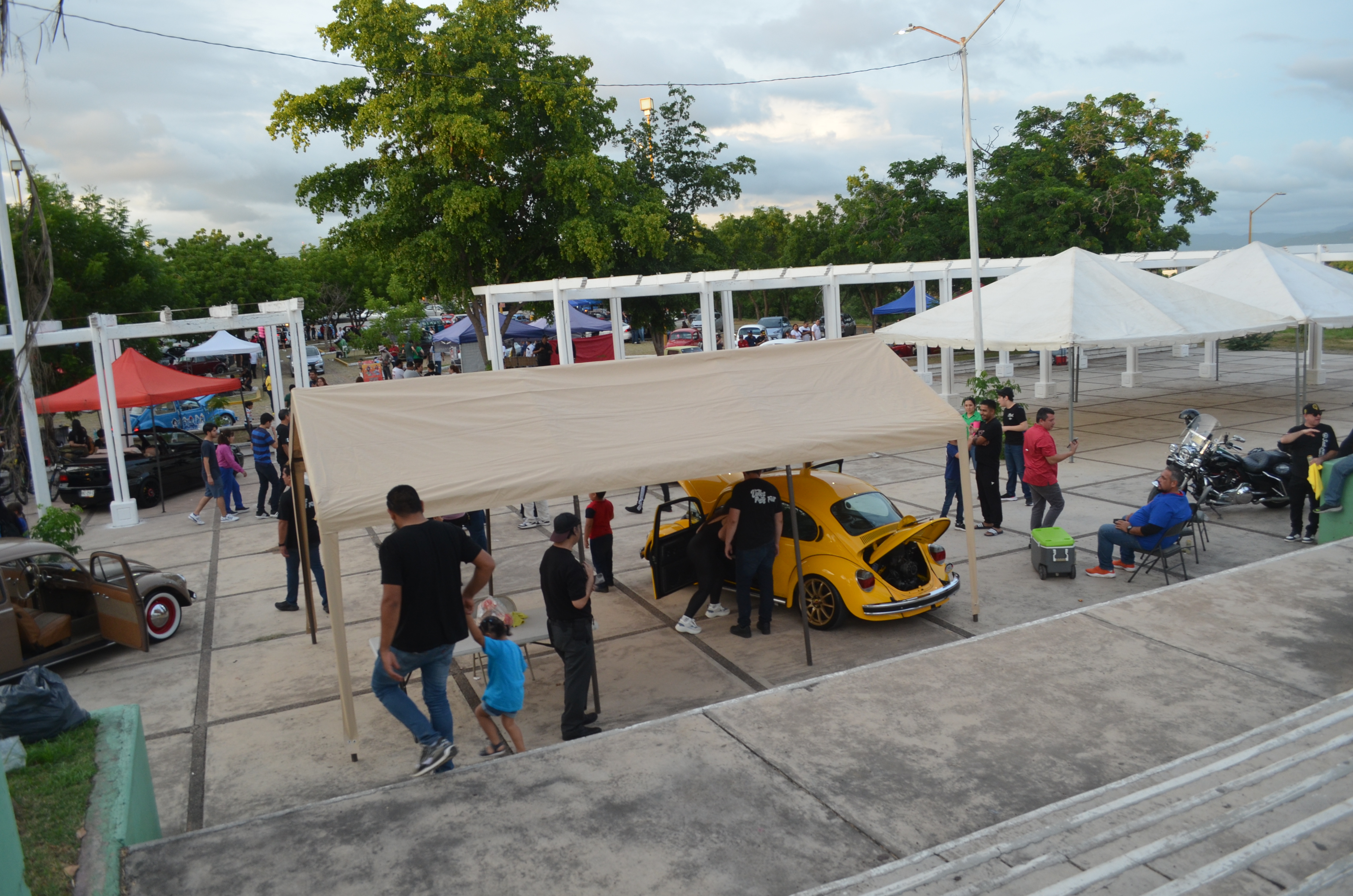 Imagen 24