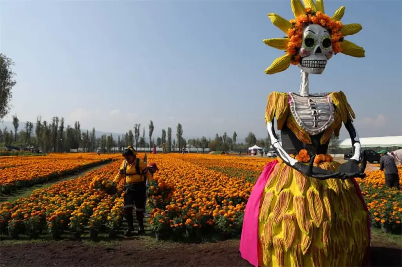 Festival del Cempásuchil en Xochimilco en la CDMX. Foto: Cortesía
