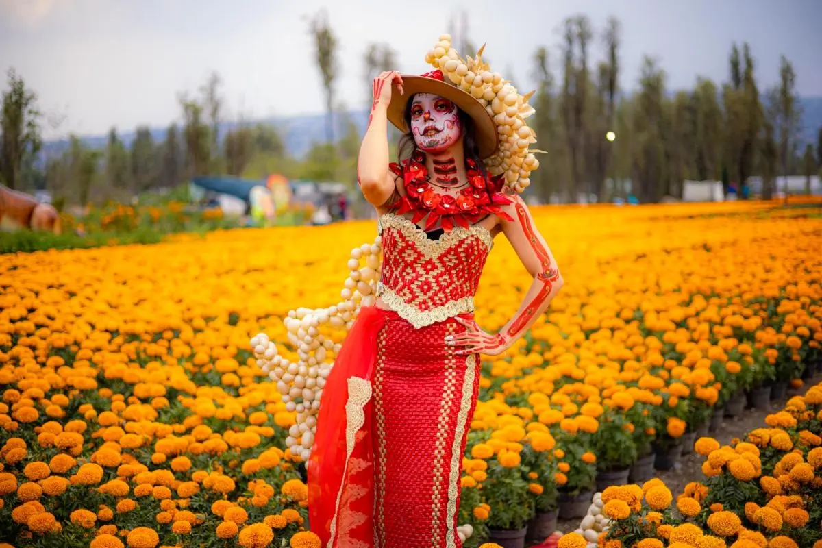 Arranca el Festival del Cempásuchil en la CDMX. Foto: Cortesía