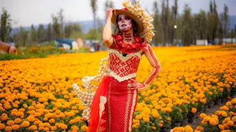 Ya comenzó el Festival de Flores de Cempásuchil en CDMX; ubicación