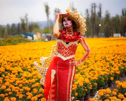 Ya comenzó el Festival de Flores de Cempásuchil en CDMX; ubicación