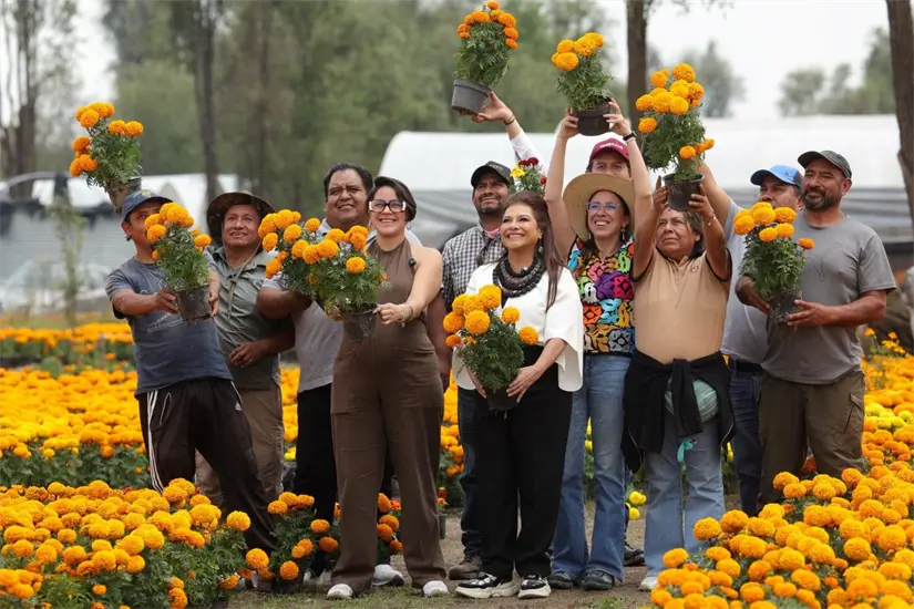 Producción de 6.1 millones de plantas de cempasúchil . Foto: Cortesía