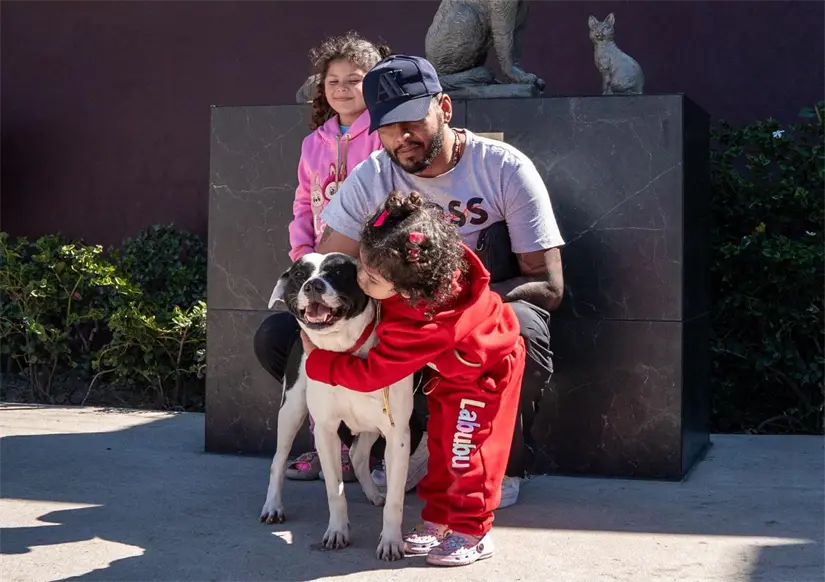 Promueven adopción de mascotas en Tijuana. Foto: Cortesía
