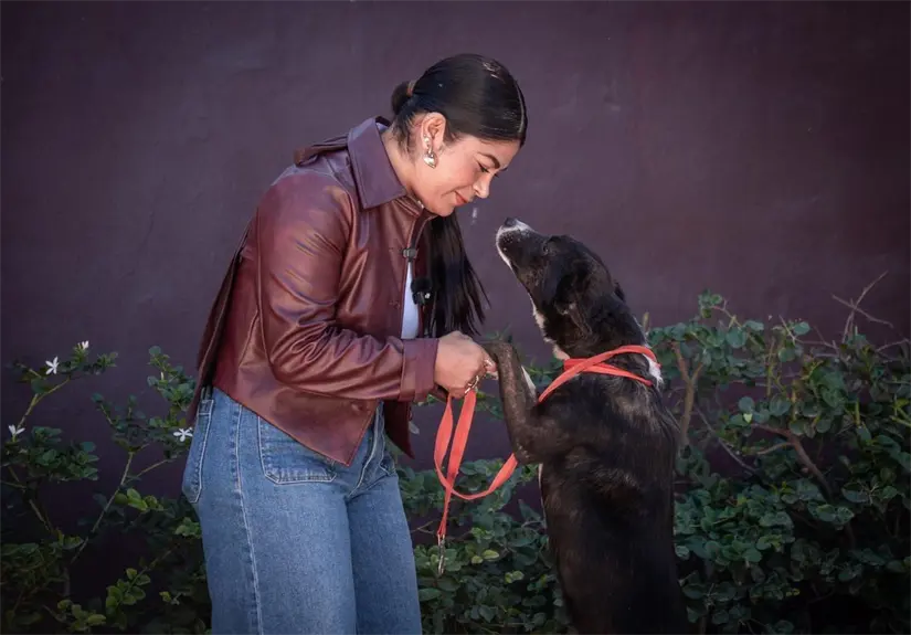 Una segunda oportunidad para perritos y gatitos en Tijuana. Foto: Cortesía