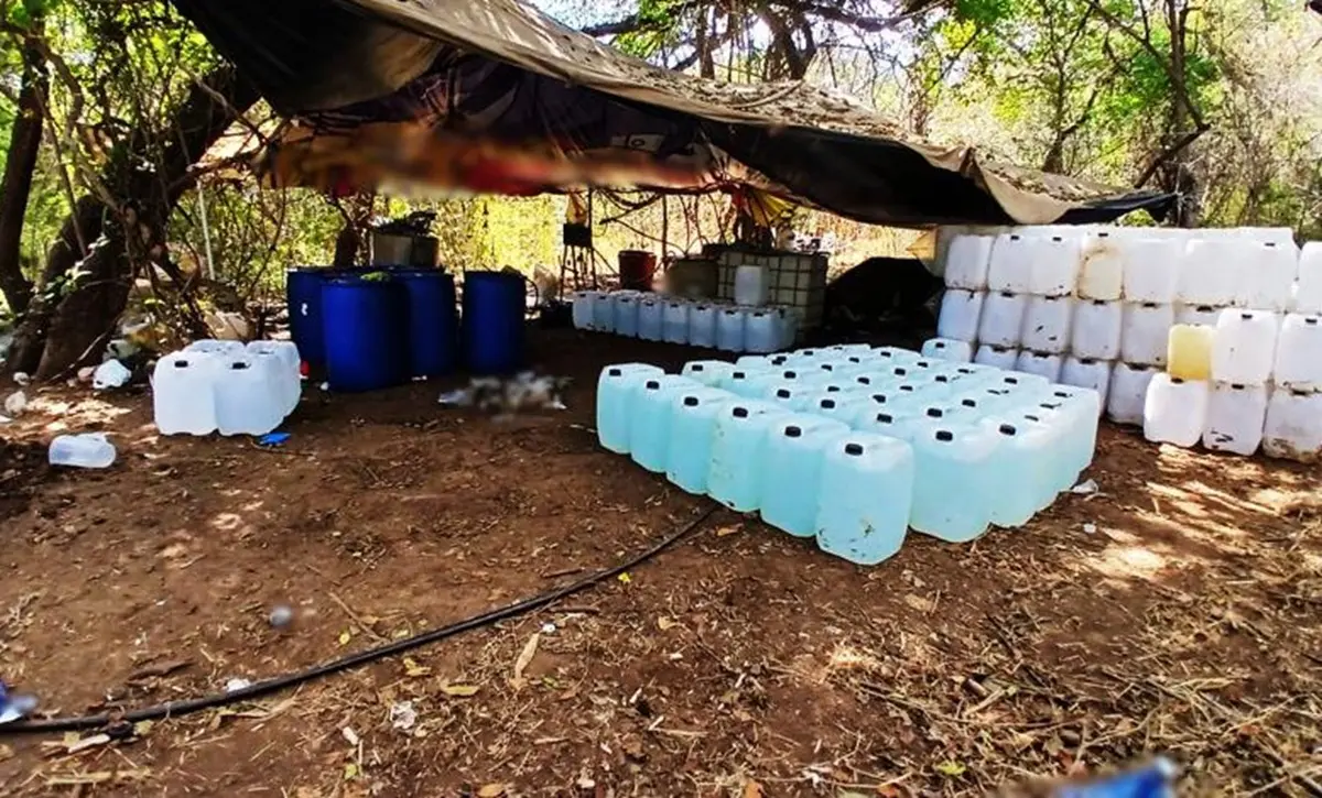 Con acciones coordinadas en Sinaloa, fuerzas federales asestaron un nuevo golpe a la delincuencia organizada al asegurar drogas valuadas en más de 700 millones de pesos.