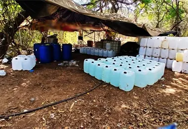 Operativos en Culiacán y Cosalá dejan más de 700 millones de pesos en fentanilo y metanfetamina asegurada
