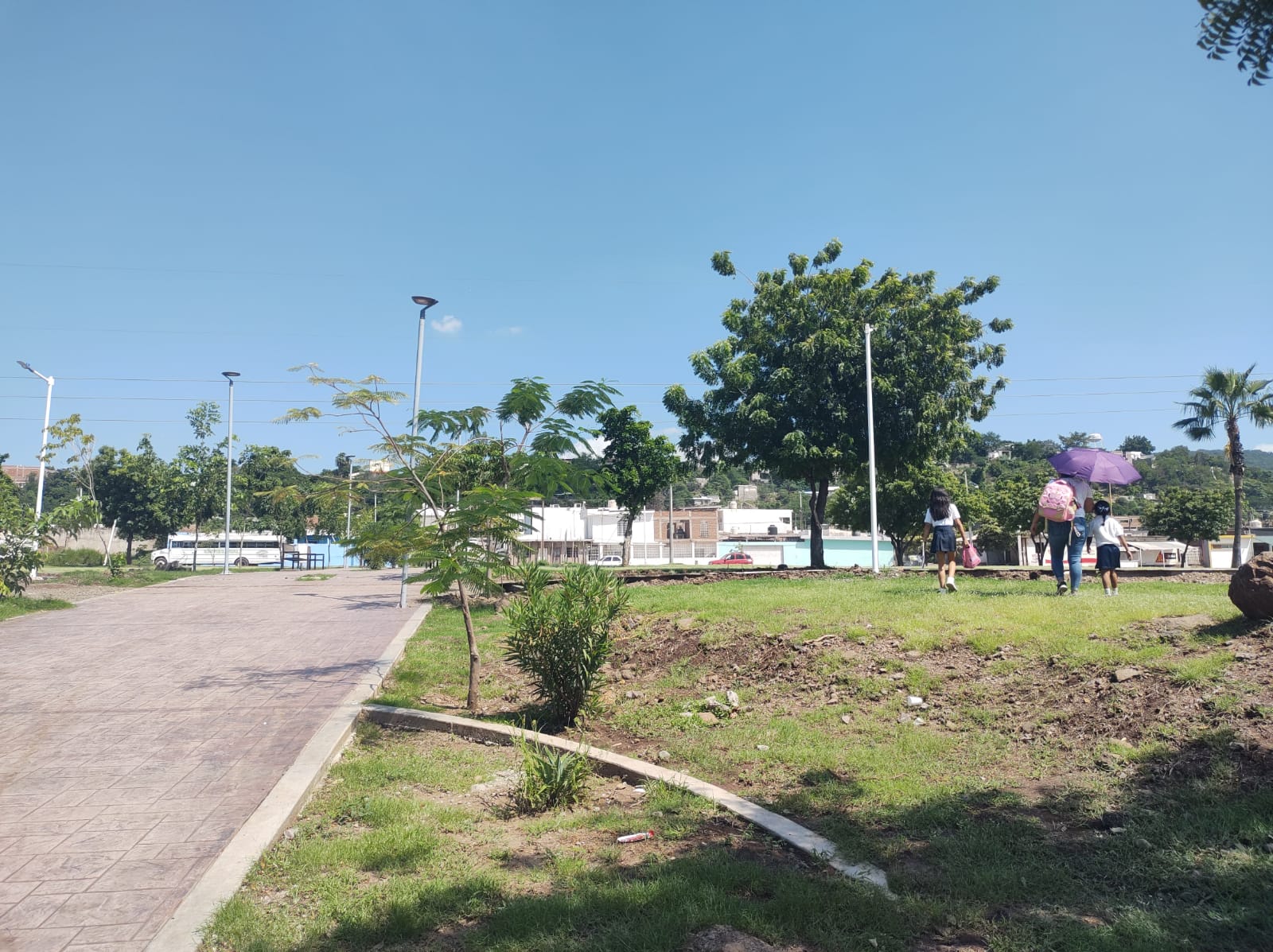 Imagen 8