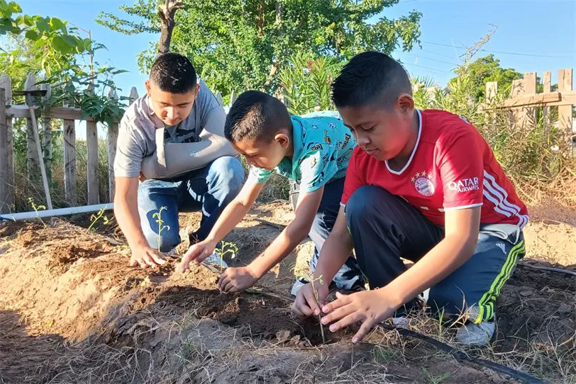 Niños también se sumaron a la plantación en el Huerto Urbano del Parque Prados del Sol del Desierto, un espacio comunitario.