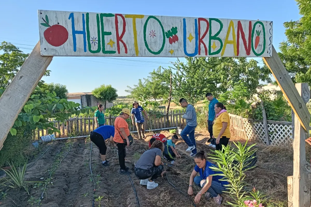 En el huerto urbano de Prados del Sol del Desierto, las semillas no solo germinan en la tierra, también en el corazón de una comunidad que ha decidido florecer junta. | Imágenes de Francisco Castro