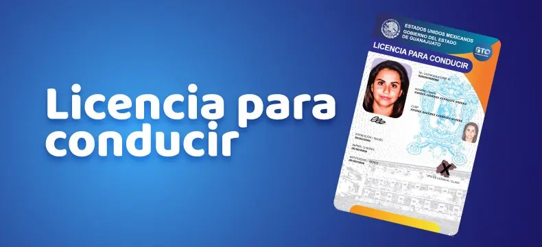 Tramita tu licencia de conducir digital en Guanajuato. Foto: Cortesía.