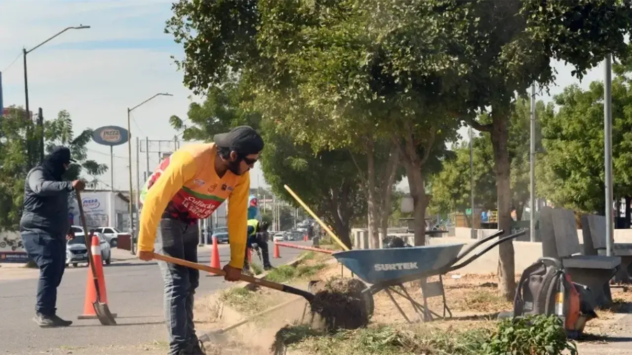 Los trabajos de limpieza de camellones se realizan en distintos puntos de la ciudad. En el bulevard Las Torres en el sector Barrancos, también se trabaja para su rehabilitación.