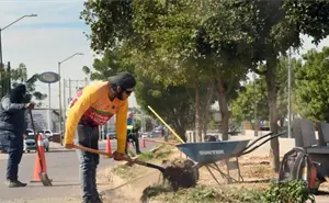 Retiran la maleza de los camellones de Culiacán