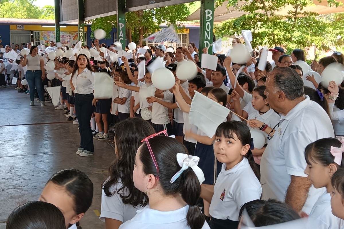 Imagen 14