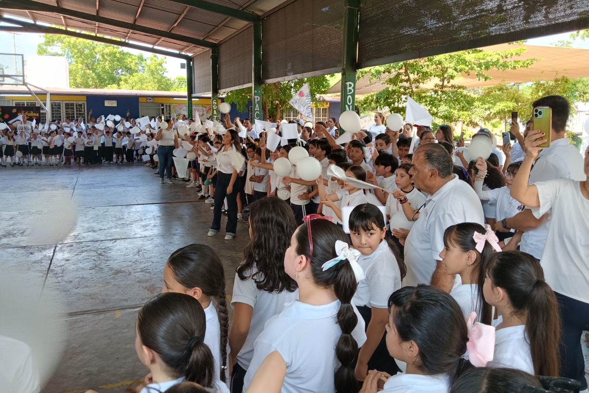 Imagen 12