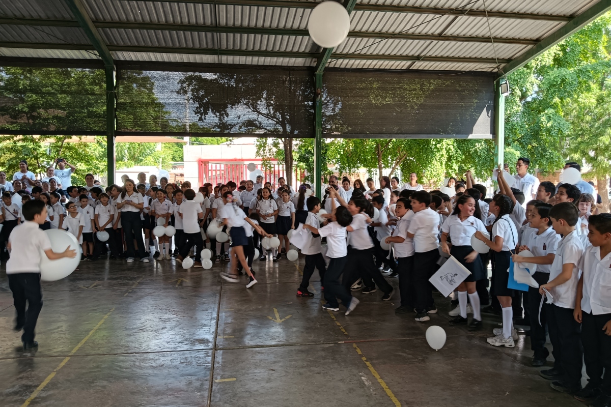 Imagen 15