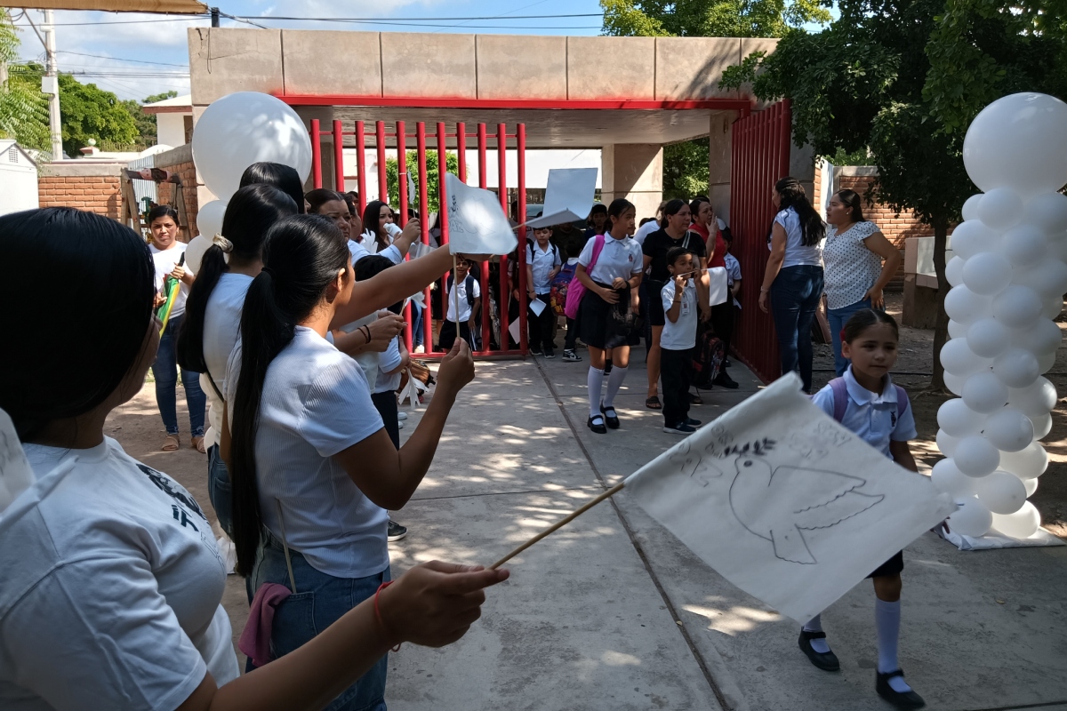 Imagen 6