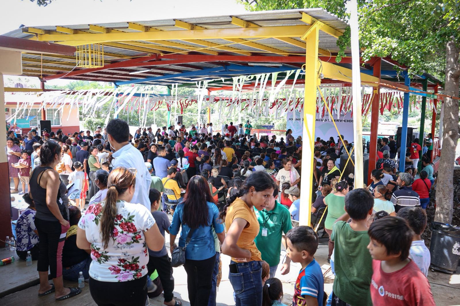 Imagen 11