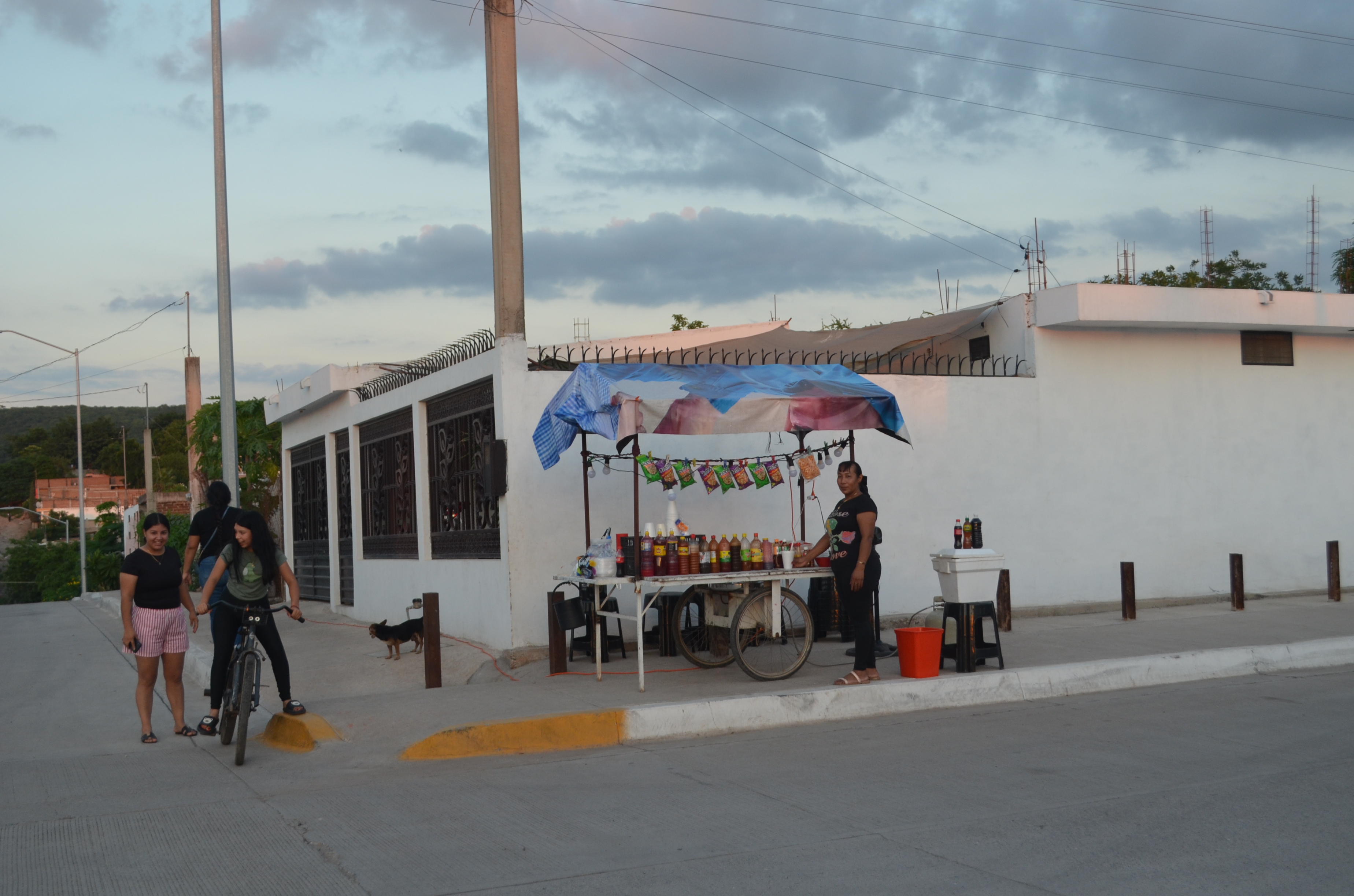 Imagen 15