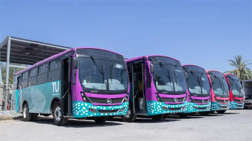 Nuevas unidades de transporte público llegarán en marzo del 2026. Foto: cortesía.