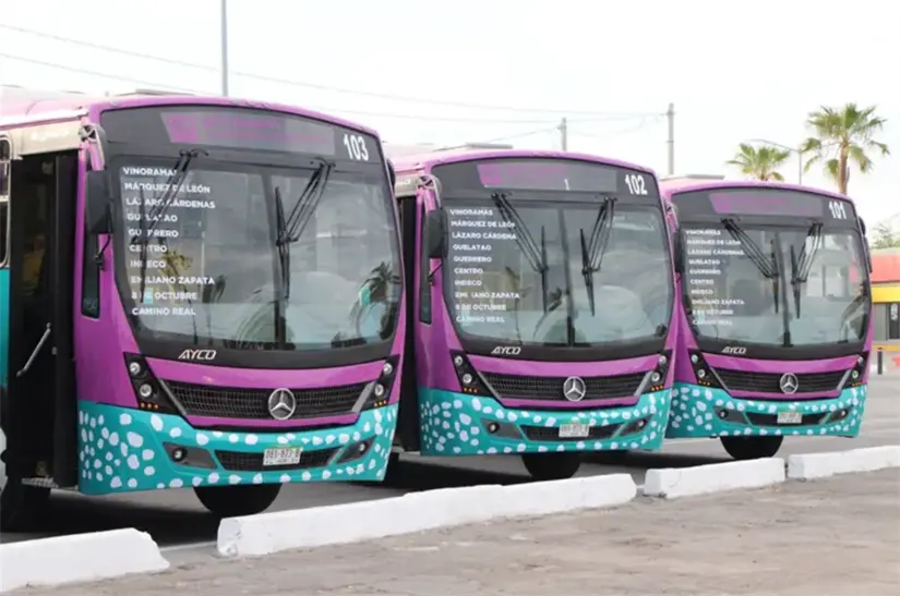 Conoce los objetivos de organismo Tiburón Urbano en La Paz. Foto: cortesía.