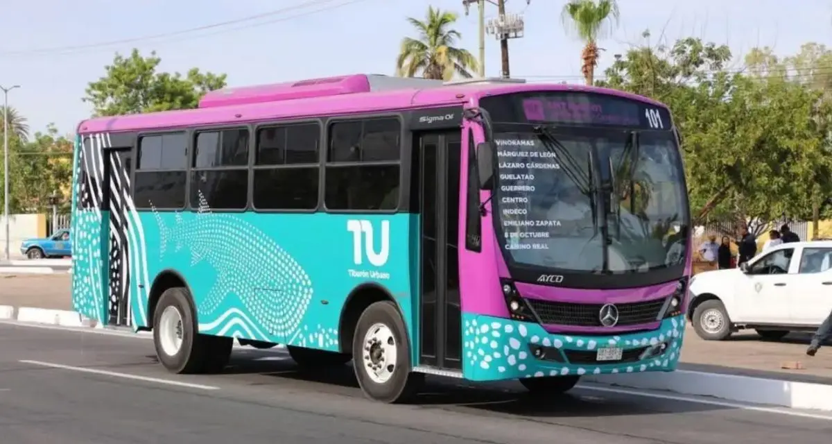 Conoce los detalles del transporte Tiburón Urbano en La Paz. Foto: cortesía