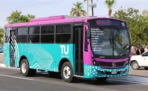 La Paz estrena Tiburón Urbano: Así funcionará el nuevo transporte público