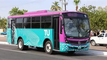 La Paz estrena Tiburón Urbano: Así funcionará el nuevo transporte público