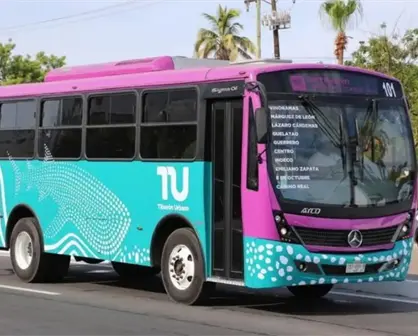 La Paz estrena Tiburón Urbano: Así funcionará el nuevo transporte público