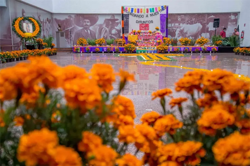 Conoce cuáles son los elementos que componen al altar de muertos. Foto: Cortesía.